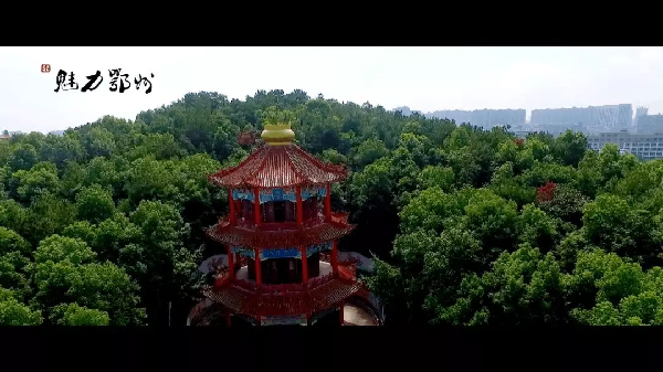 OD体育