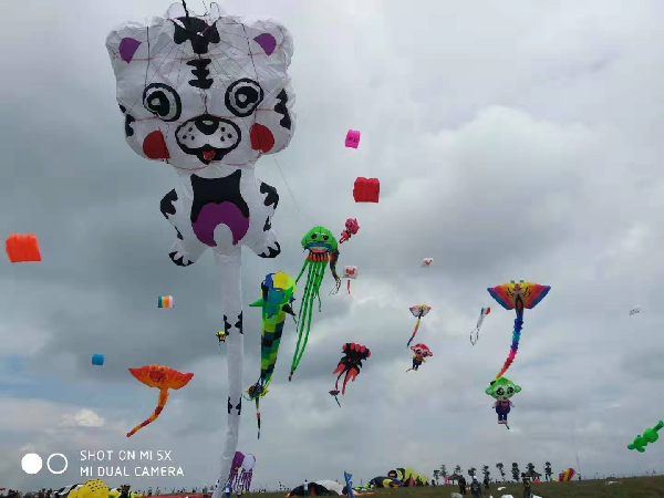 OD体育