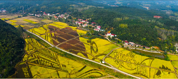 OD体育