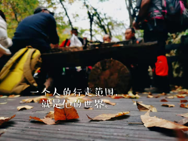 OD体育
