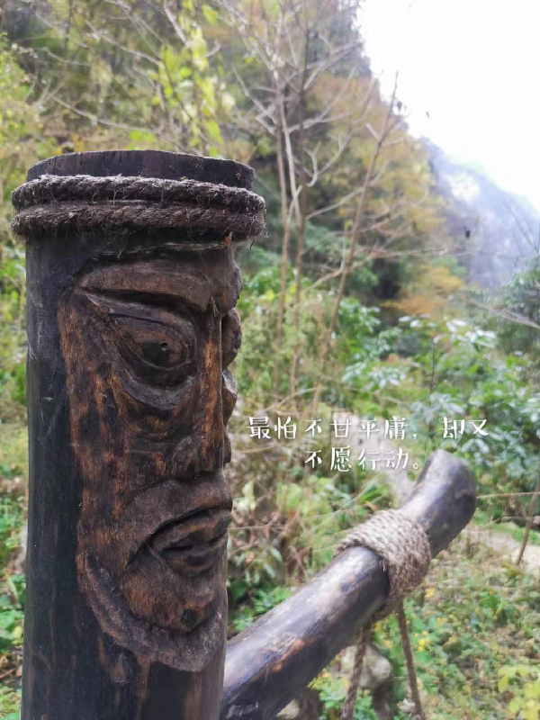 OD体育