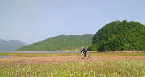 OD体育