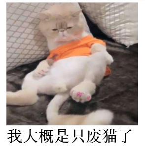 OD体育